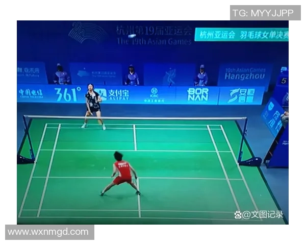 杭州羽毛球队实力分析与比赛表现评估的深度研究与探讨