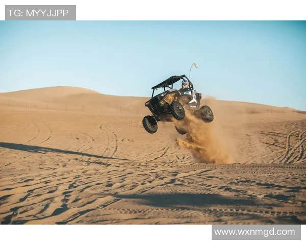 极限运动的魅力与挑战：探秘上海极限运动队的转型之路